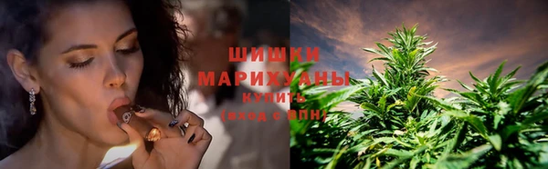 Альфа ПВП Лиски